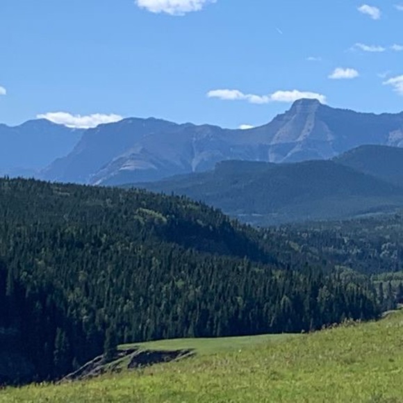 Meet your Posher, Pravin - Picture 1 of 1